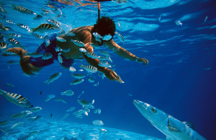 Jungle Tour conduce una lancha rápida